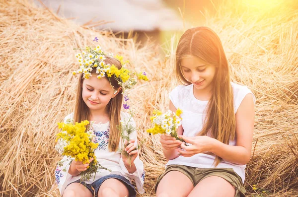 Hermanas sentadas en un pajar — Foto de Stock