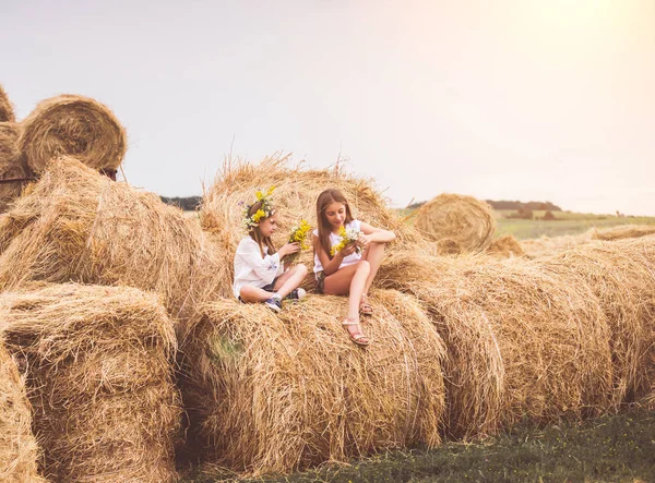 Två tjejer på ett fält — Stockfoto