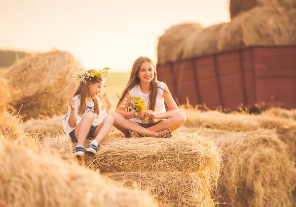 Small cute girls resting on the sunny field — Stock Photo, Image