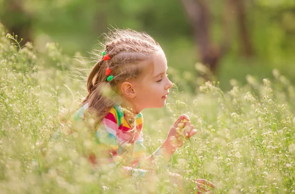 Kid på ängen — Stockfoto