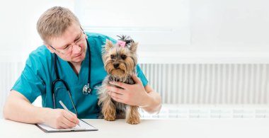 Veteriner holding köpek veteriner kliniğinde ellerinde