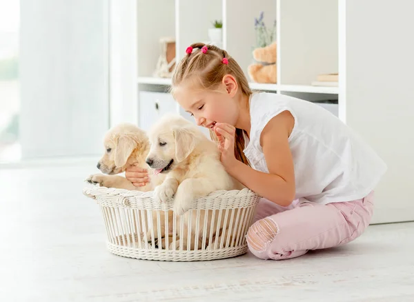 Menina brincando com filhotes retriever — Fotografia de Stock