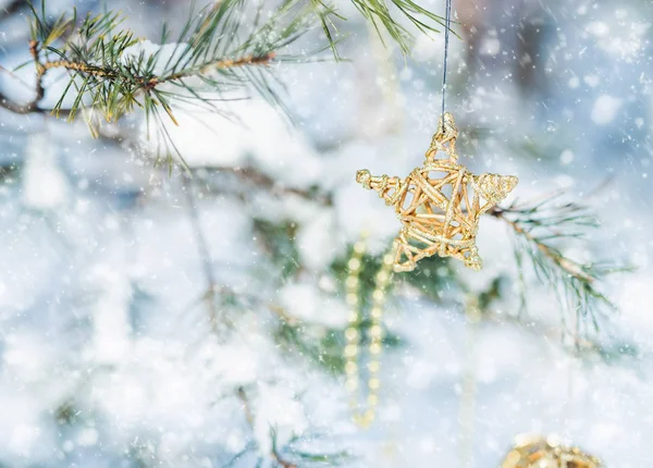 Звезда Твига висит на рождественском дереве — стоковое фото