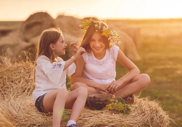 Two sisters spending time in field — Stock Photo, Image