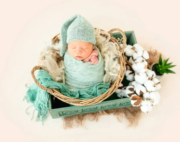 Новорожденный мальчик завернутый в одеяло — стоковое фото