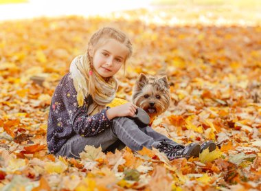 Yorkshire Teriyeri olan tatlı bir kız.