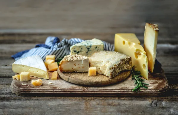 Смачний набір сиру — стокове фото