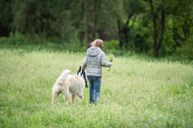 Çiçekli tarlada köpeği olan küçük bir kız.