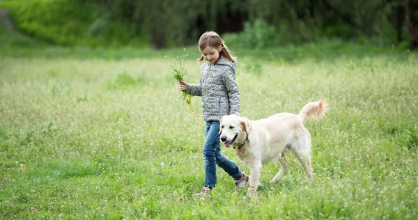 Menina bonito com flores cão de passeio — Fotografia de Stock