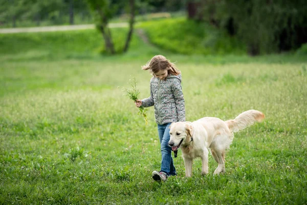 Roztomilé holčička s květinami chůze pes — Stock fotografie