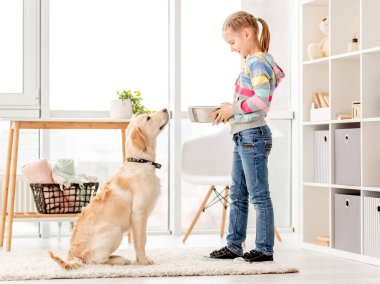 Güzel kız tatlı köpeği besliyor.