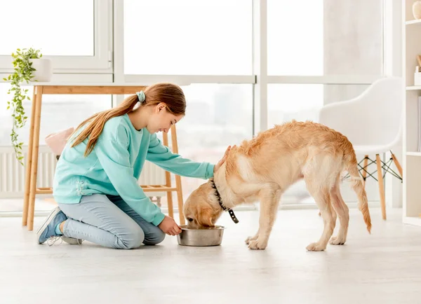 Cheerful owner feeding cute dog — Stockfoto