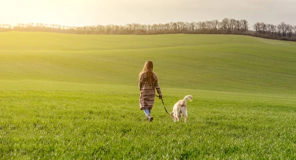 緑の野に犬を歩く女の子 — ストック写真