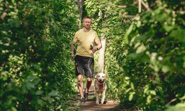 Människan joggar med hunden i trä — Stockfoto
