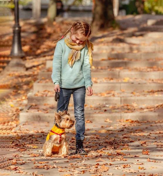 Menina bonito com yorkshire terrier — Fotografia de Stock