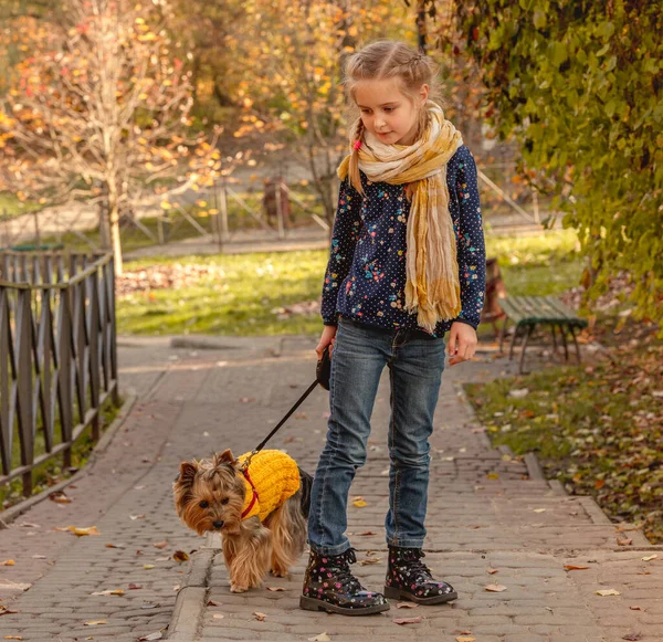 Fille marche avec yorkshire terrier — Photo