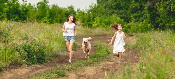 Pretty girls walking on summer meadow — Stock Photo, Image