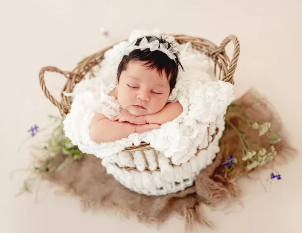 Recém-nascido engraçado em cesta no estômago — Fotografia de Stock