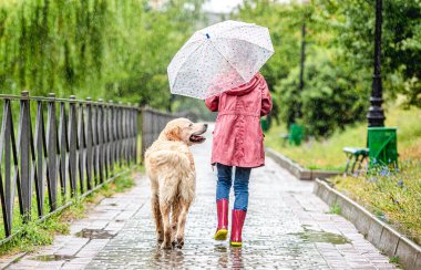 Küçük kız yağmur altında köpeğini gezdiriyor.