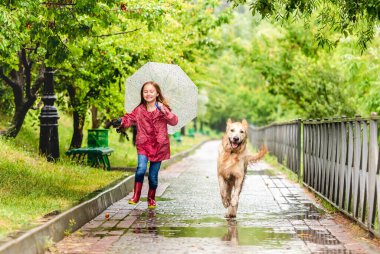 Küçük kız köpekle yağmurun altında yürüyor