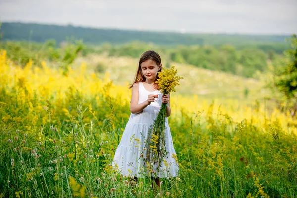 Küçük tatlı kız elinde kır çiçeği buketi tutuyor. — Stok fotoğraf