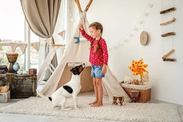 Lány gyermek képzés róka terrier kutya — Stock Fotó