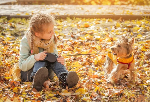 Söt flicka med Yorkshire terrier — Stockfoto