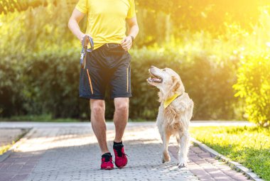 Golden Retriever bir erkekle dışarı çıkıyor.