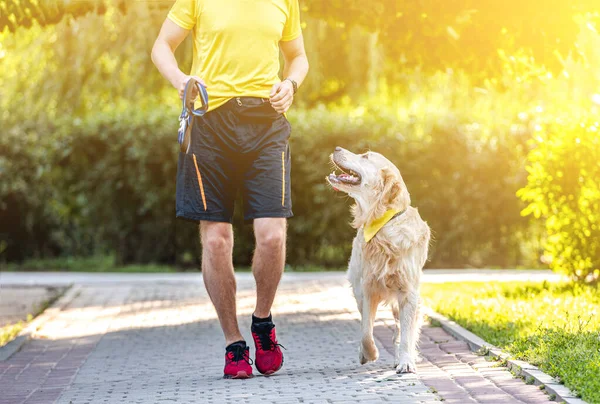 Golden retriever promenader utomhus med människan — Stockfoto