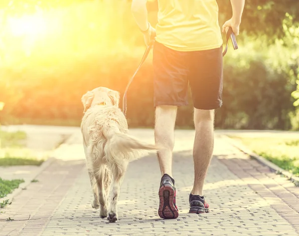 Man kör med gyllene retriever — Stockfoto