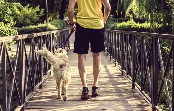 男人和狗在桥上慢跑 — 图库照片