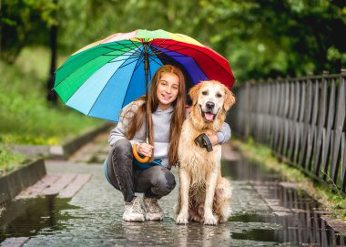Kız ve Golden retriever şemsiye altında