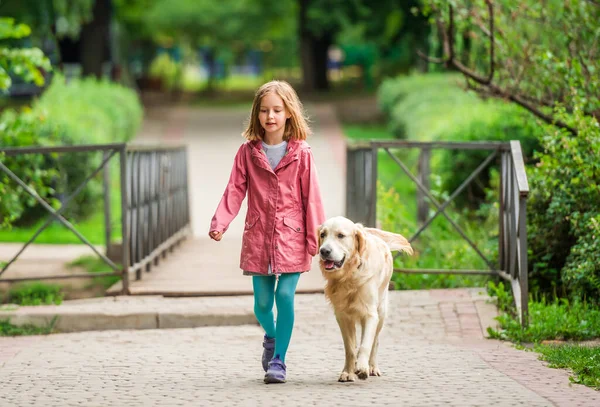 Mała dziewczynka spacerująca ze golden retrieverem — Zdjęcie stockowe
