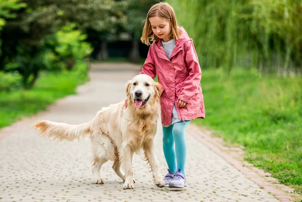 Dívka kráčí se zlatým retrívrem — Stock fotografie