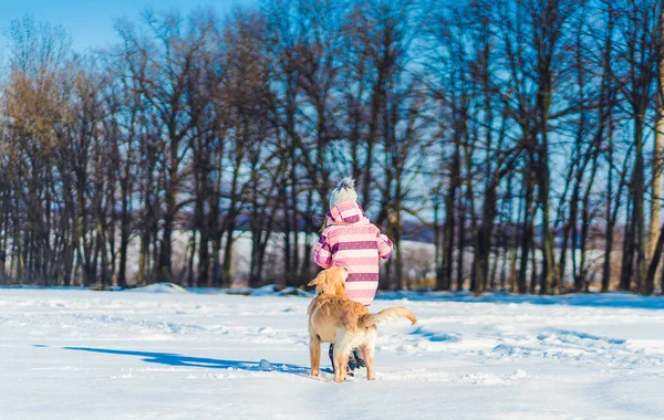 Speelse hond en mooi meisje — Stockfoto