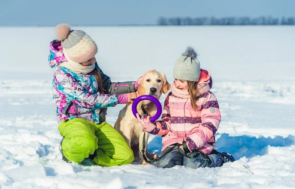 Kız kardeşler kış günü köpeğe sarılırlar. — Stok fotoğraf