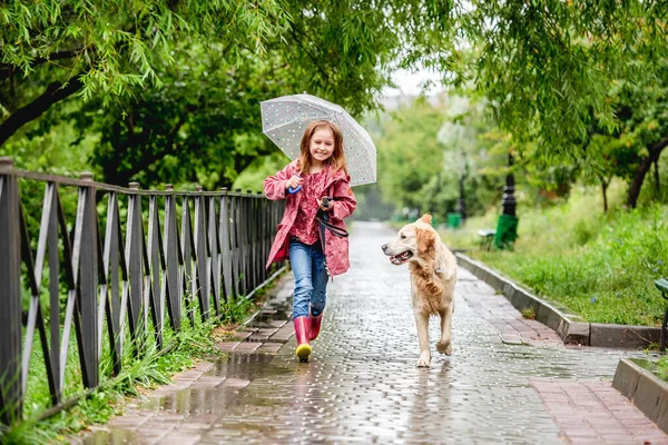 Küçük kız köpekle yağmurun altında yürüyor — Stok fotoğraf