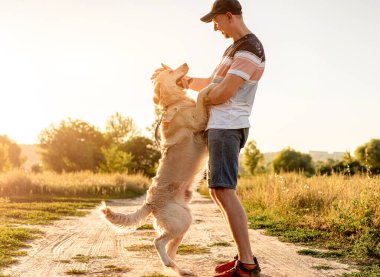 Golden retriever insanın yanında duruyor.