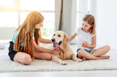 Kız kardeşler Golden Retriever 'ı avuçluyor
