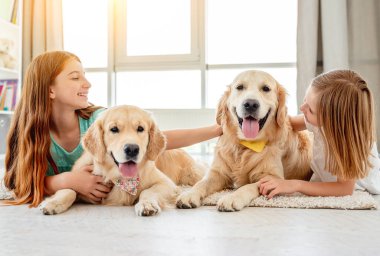 Golden Retriever 'lar kızlarla yerde yatıyor.