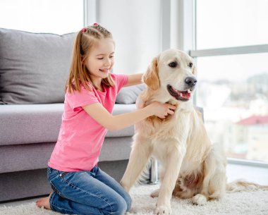 Golden Retriever 'lı küçük güzel kız