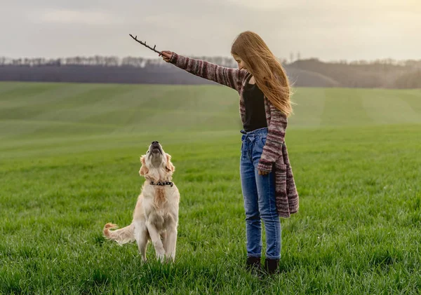 Kız dışarıda köpekle oynuyor. — Stok fotoğraf