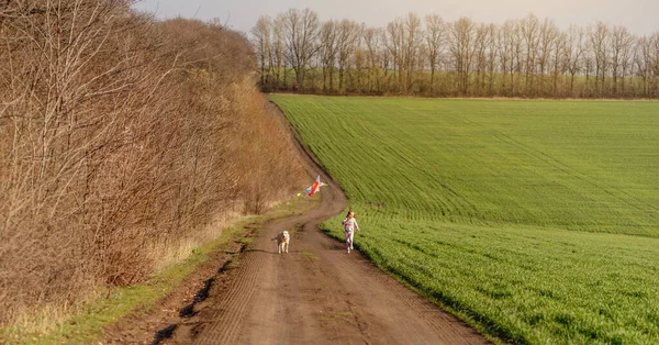 Meisje met hond vliegende heldere vlieger — Stockfoto