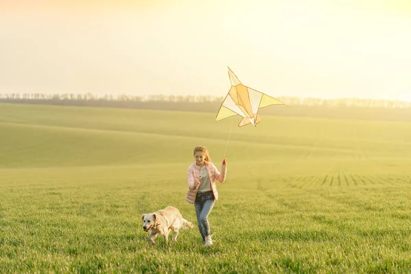 Menina atraente voando pipa no campo — Fotografia de Stock