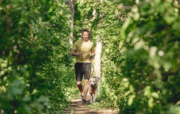 男は木の犬とジョギング — ストック写真