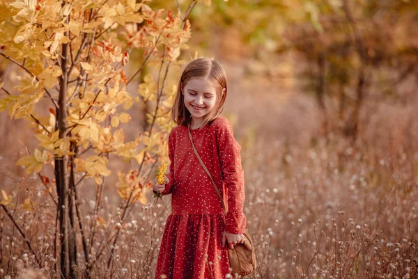 Little girl walking in autumn park — Stock Photo, Image