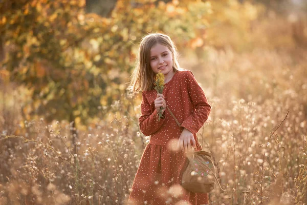 小女孩走在五彩缤纷的秋天里 — 图库照片