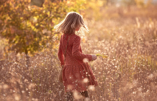 Rear view of little girl walking on colorful autumn nature