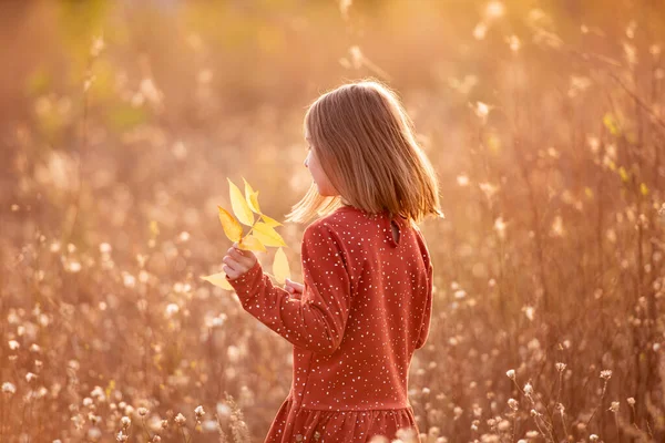 Niña sonriente con hojas de otoño — Foto de Stock