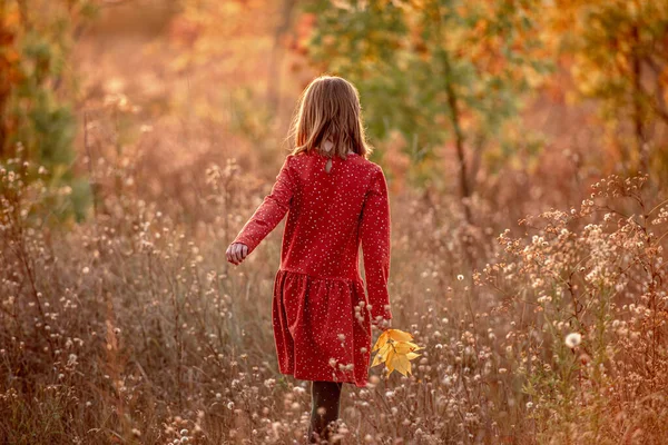 Sonbahar yapraklarıyla gülümseyen küçük kız. — Stok fotoğraf